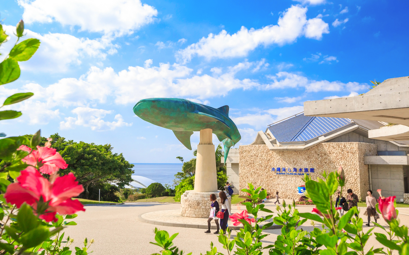 Okinawa Hip Hop Bus Tour with Churaumi Aquarium, Glass Boat Ride & American Village