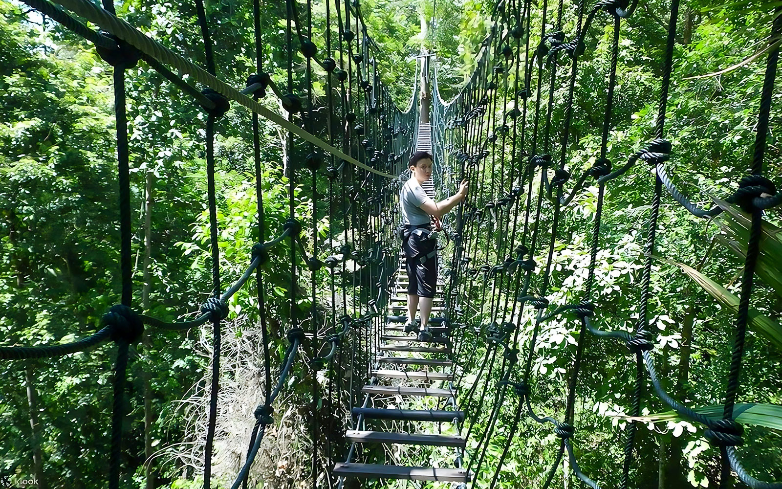 Skytrex Adventure Sungai Congkak Kuala Lumpur Tickets in Selangor - Attractions | TickYourList
