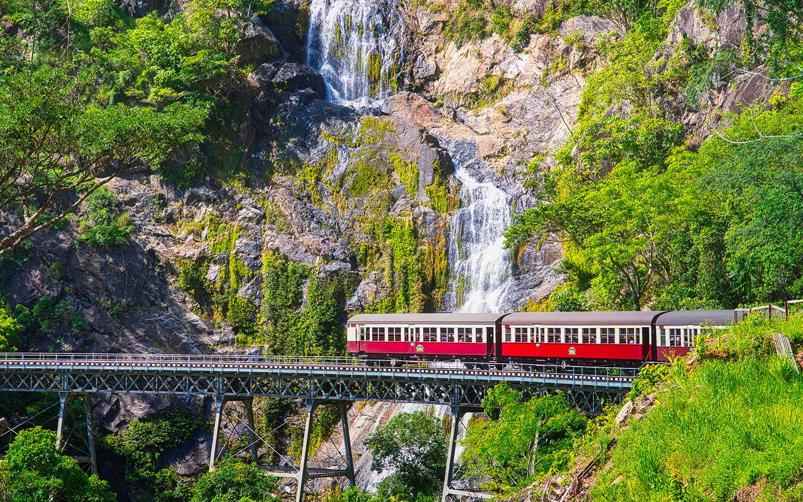 From Cairns: Scenic Train, Skyrail & Kuranda Rainforest Tour