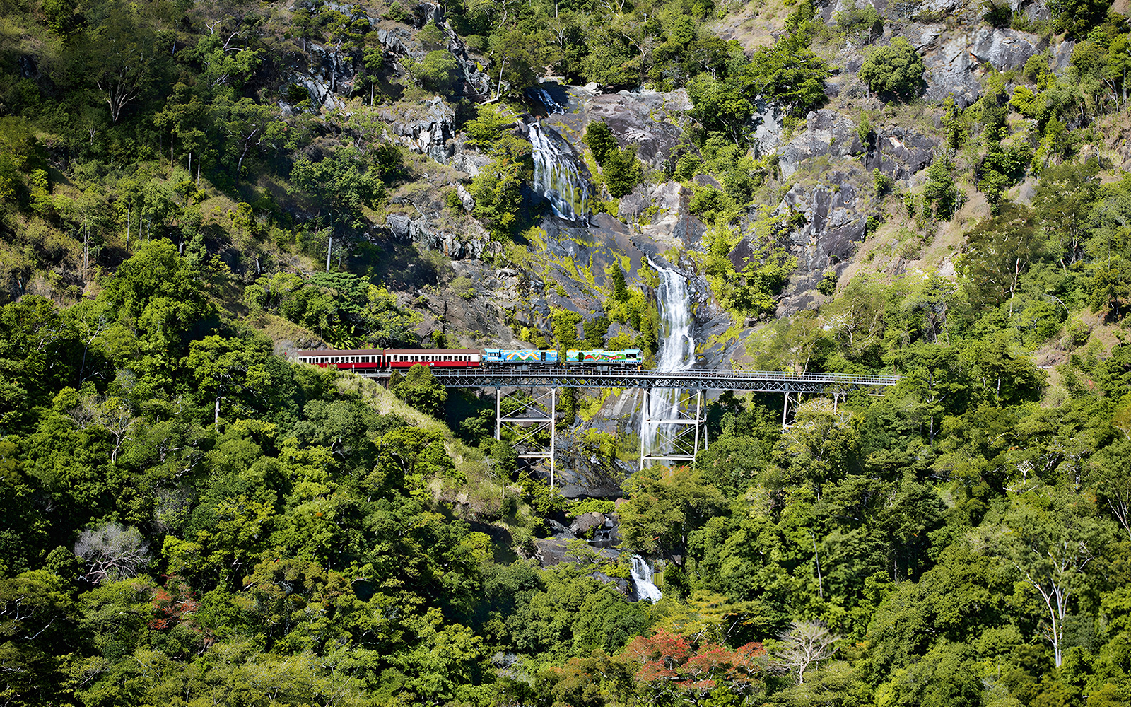Combo (Save 5%): From Cairns: Scenic Train & Skyrail Kuranda Tour with Transfers + Cairns Aquarium Tickets in Cairns - Attractions | TickYourList