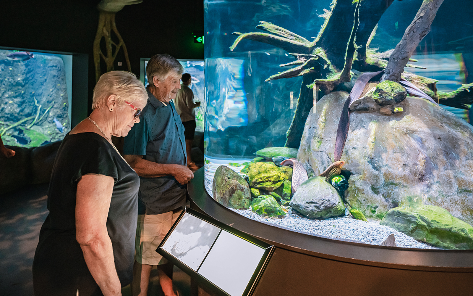 Combo (Save 5%): From Cairns: Scenic Train & Skyrail Kuranda Tour with Transfers + Cairns Aquarium Tickets in Cairns - Highlights | TickYourList