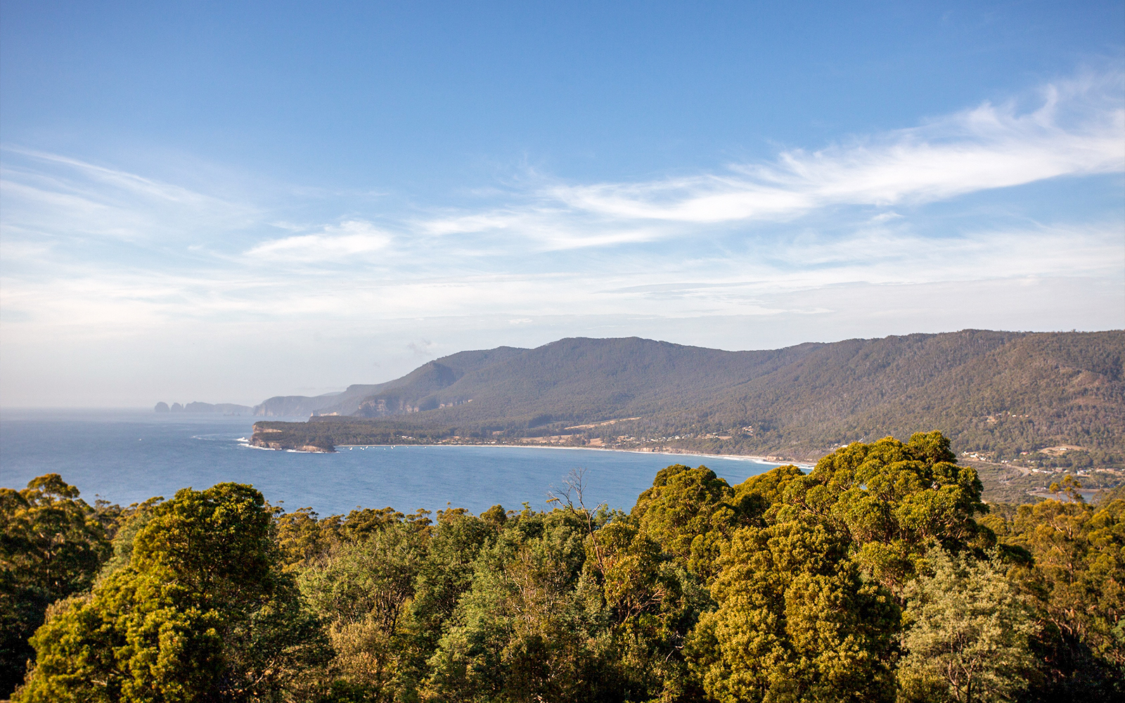 From Hobart: Port Arthur & Tasmanian Devils Guided Tour tickets in Hobart - Attractions | TickYourList