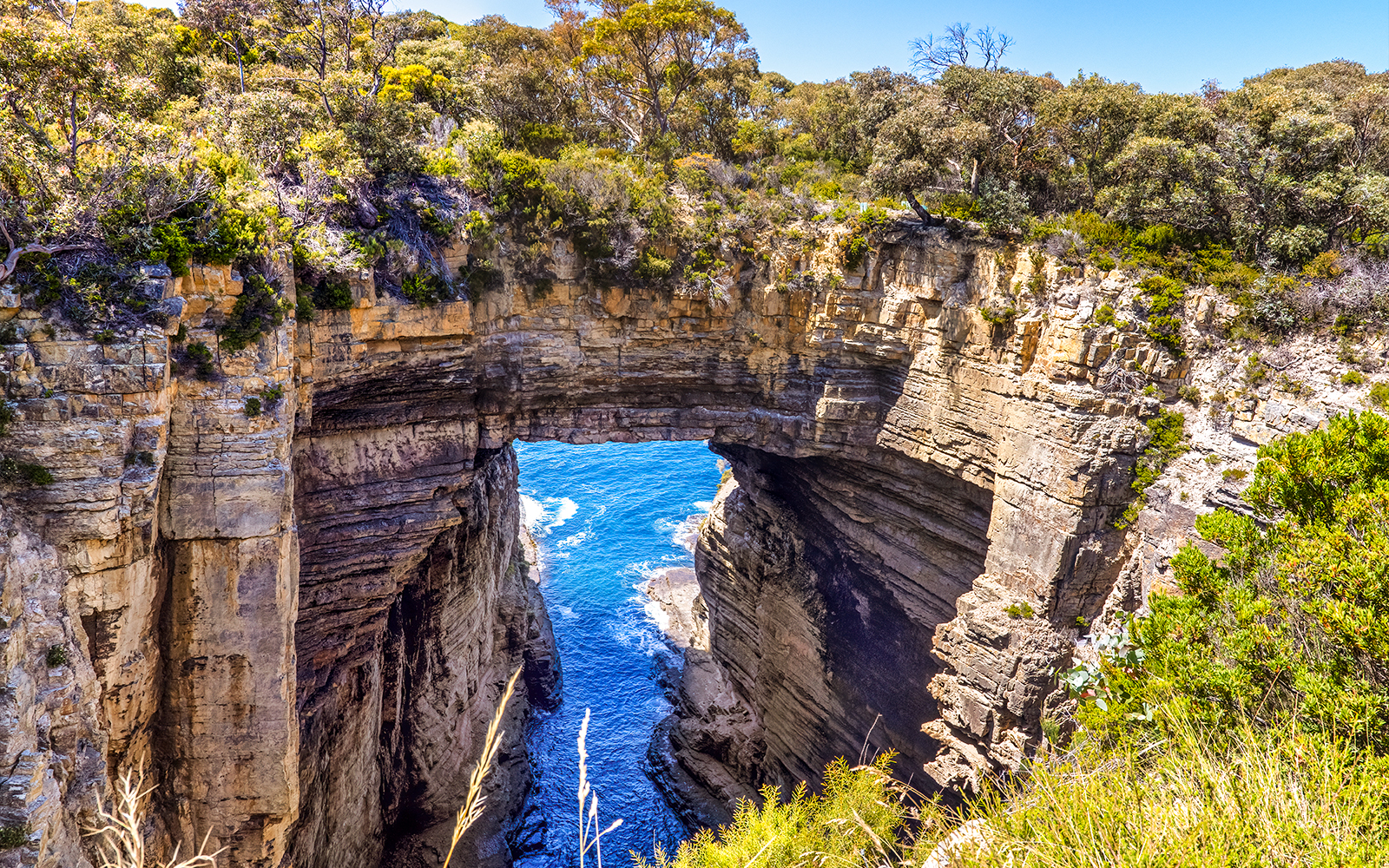 From Hobart: Port Arthur & Tasmanian Devils Guided Tour tickets in Hobart - Activities | TickYourList