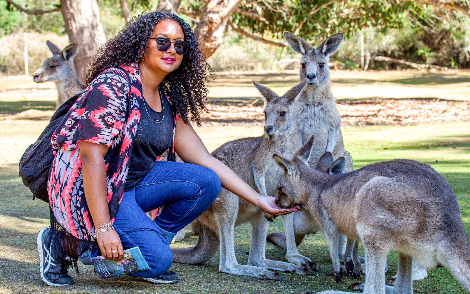 From Hobart: Port Arthur & Tasmanian Devils Guided Tour tickets in Hobart - Features | TickYourList