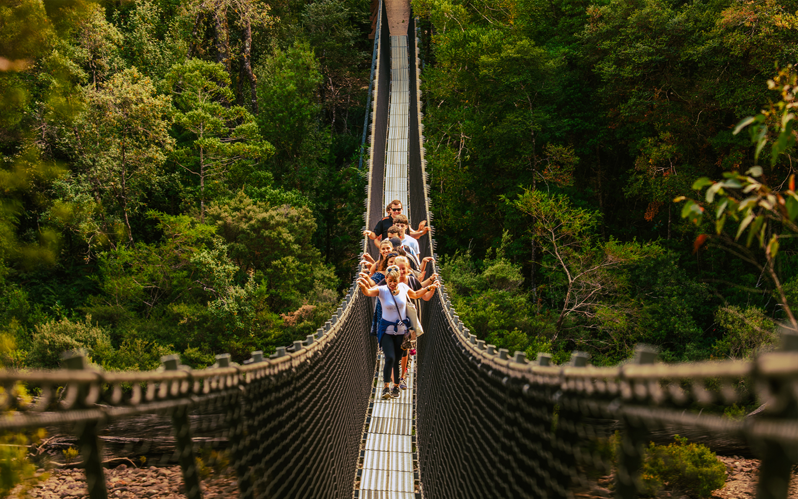 Full-Day Guided Tour of Tahune Airwalk & Hastings Caves tickets in Hobart - Activities | TickYourList