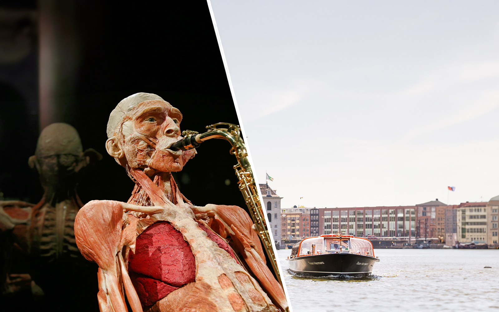 Combo: Body Worlds Amsterdam + Canal Cruise Tickets experience in Amsterdam | TickYourList