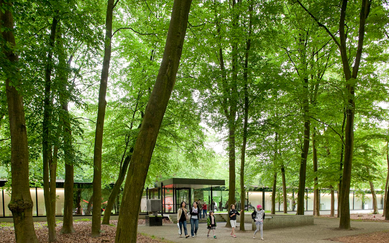 Guided Day Tour of Kröller Müller Museum & Hoge Veluwe National Park from Amsterdam