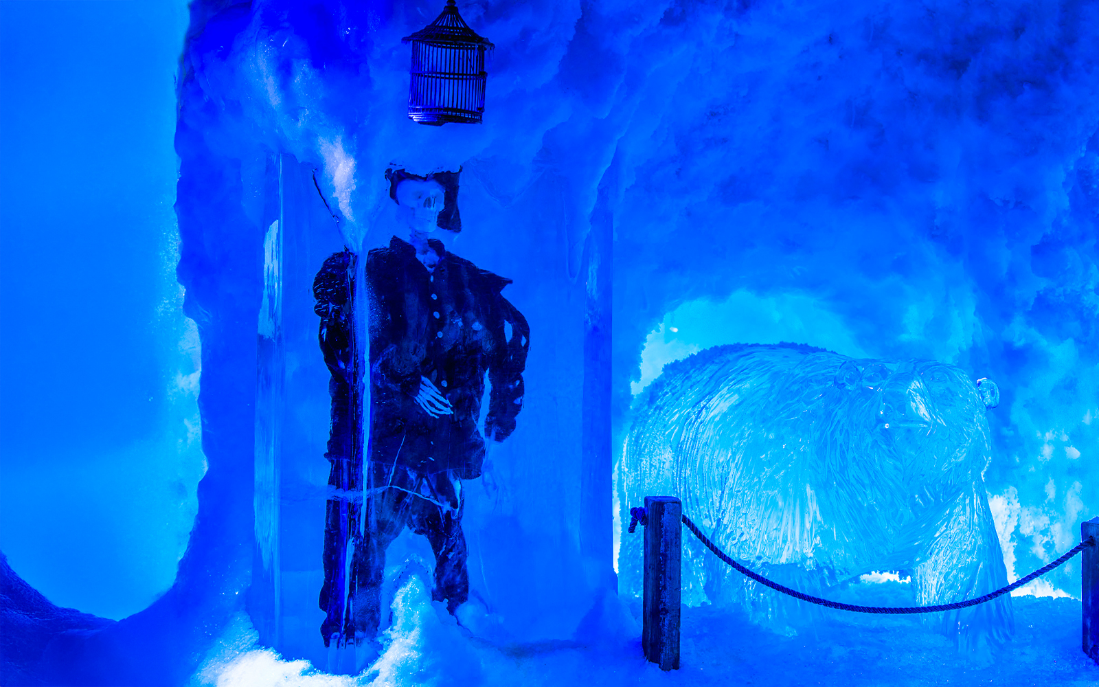Combo (Save 5%): Heineken Experience + Icebar Amsterdam Tickets in Amsterdam | TickYourList