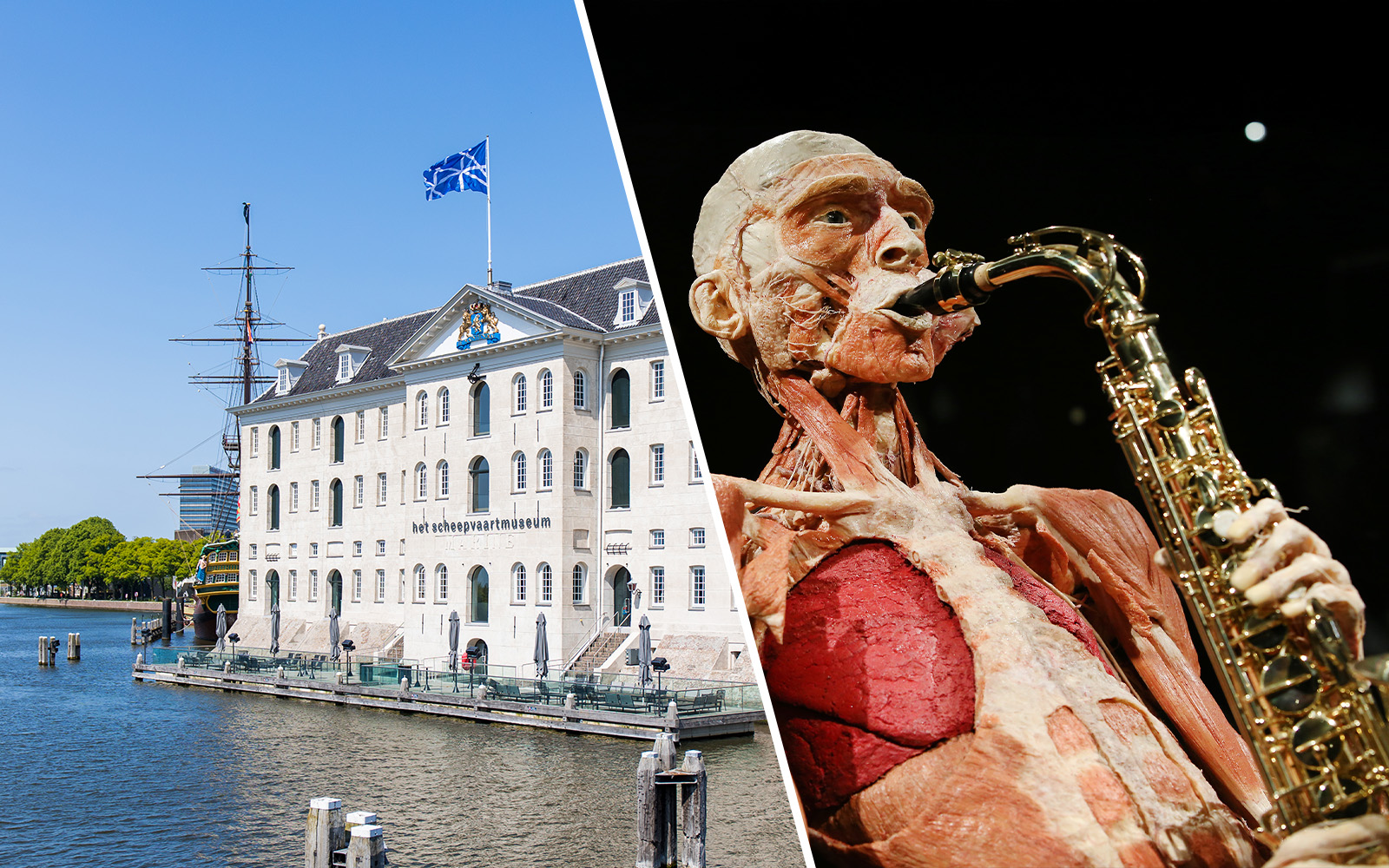 Combo (Save 7%): National Maritime Museum + Body Worlds Amsterdam Tickets experience in Amsterdam | TickYourList