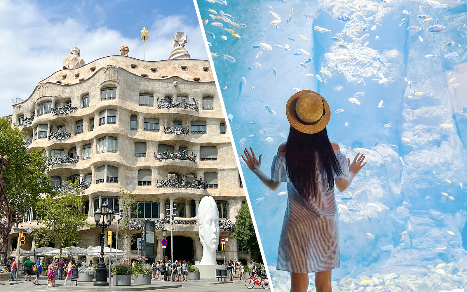 Combo: La Pedrera-Casa Milà + Aquarium Tickets experience in Barcelona | TickYourList