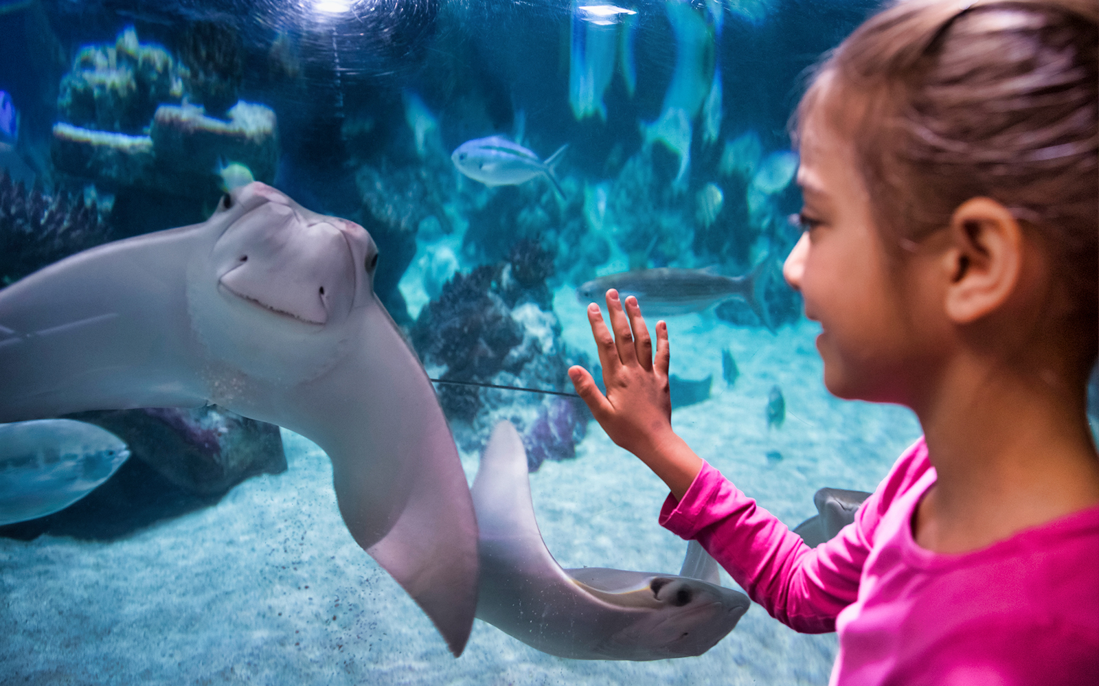 SEA LIFE Berlin Tickets