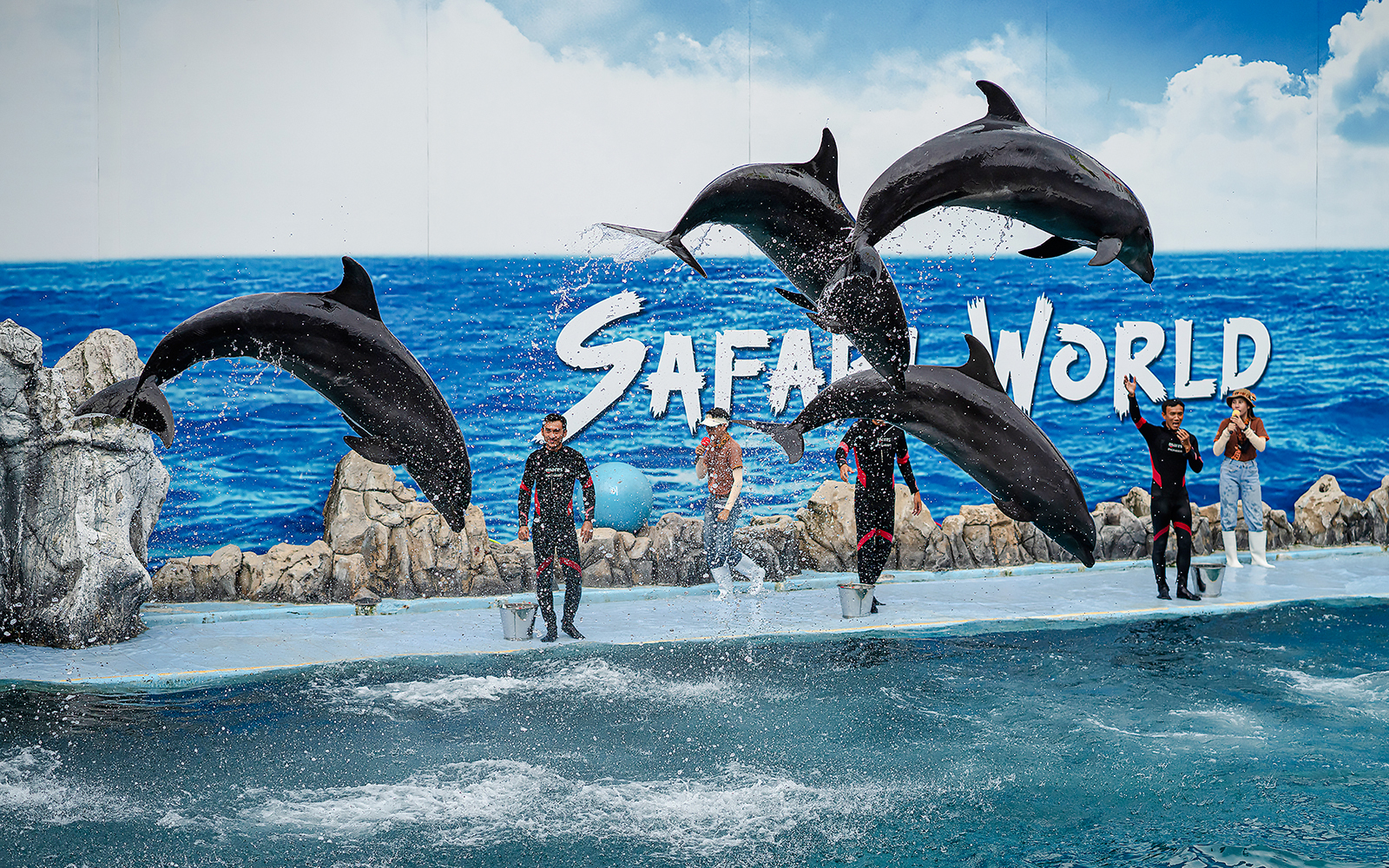 Safari World Tickets with Transfers in Bangkok - Highlights | TickYourList
