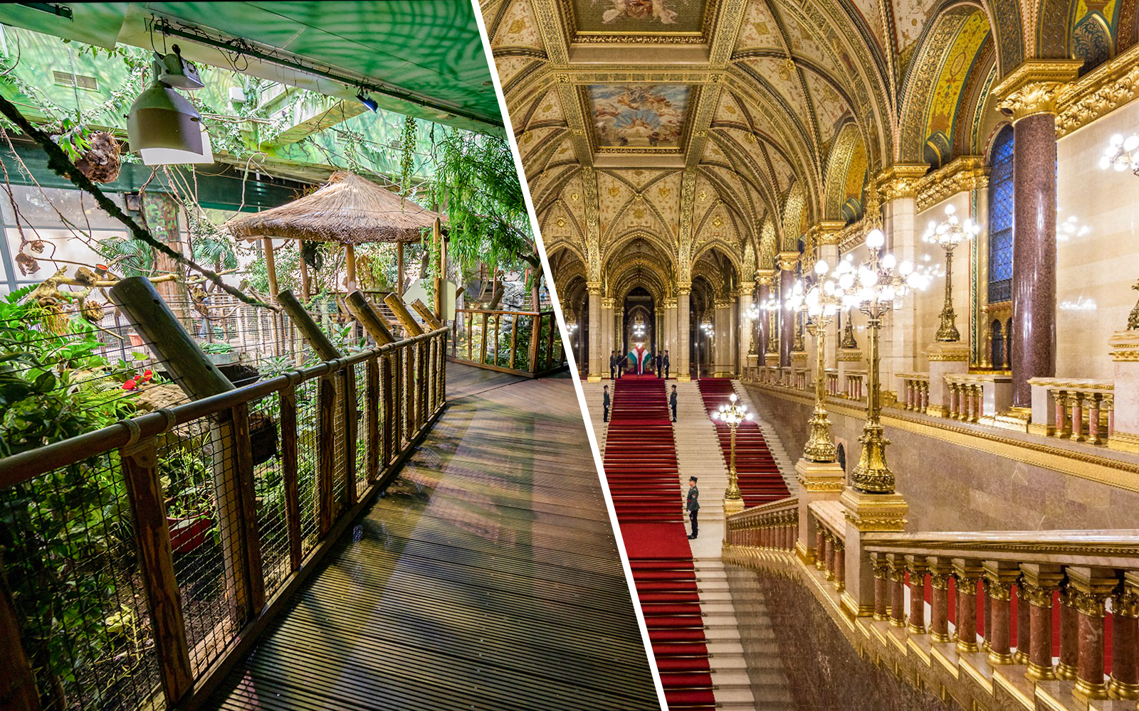 Combo: Tropicarium Budapest Fast-Track Entry Tickets + Hungarian Parliament Audio Guided Tour