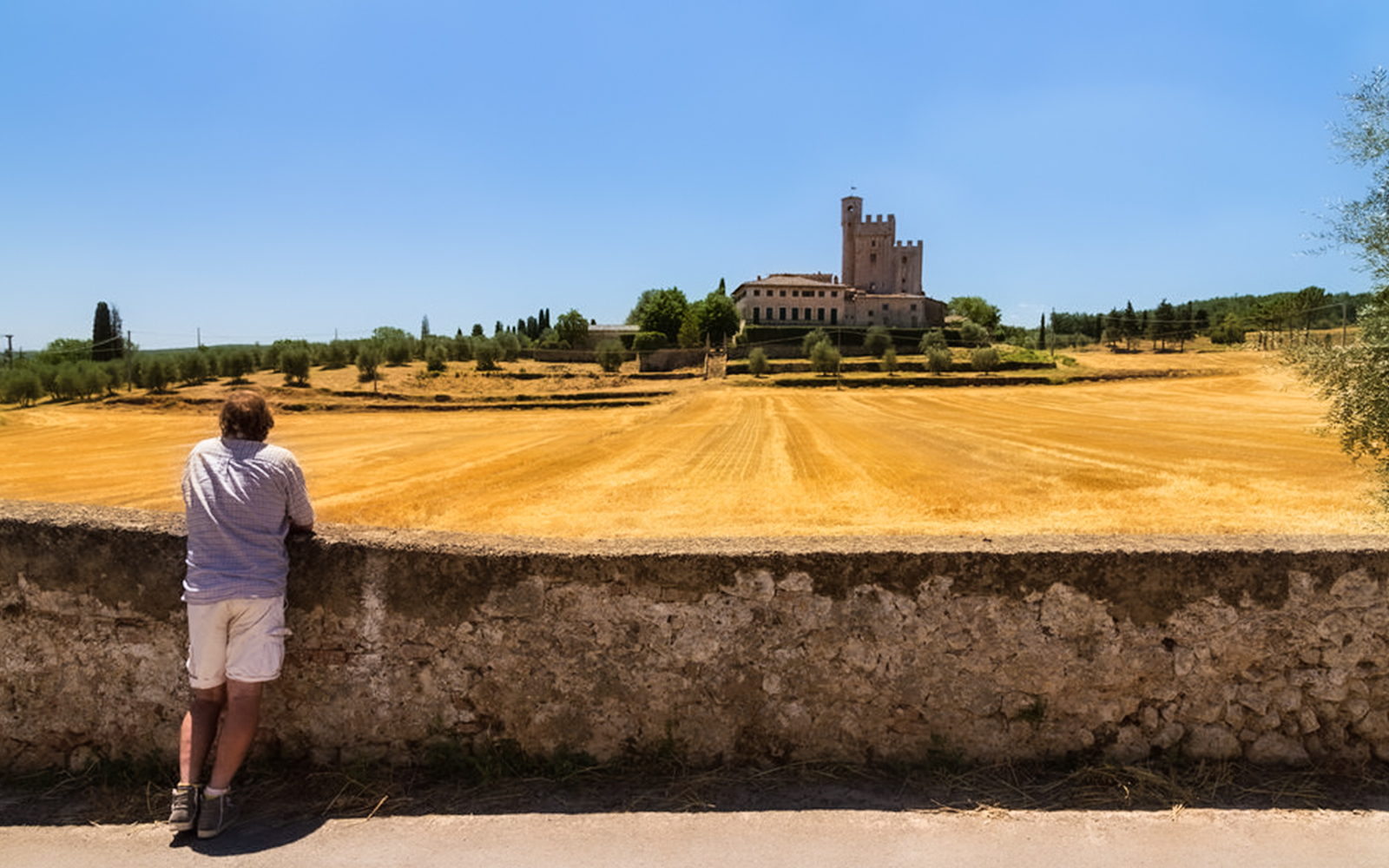 Authentic Tuscany - Wine Tour from Florence tickets in Florence - Features | TickYourList