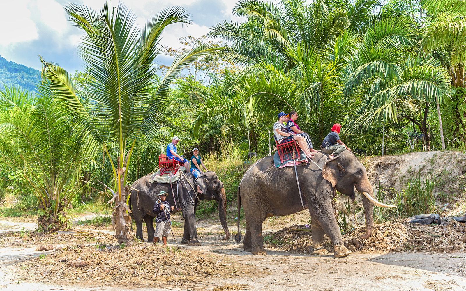 Embark on an exhilarating journey starting from the beautiful island of Phuket! Dive into an ATV adventure combined with a thrilling zipline experience, creating unforgettable memories along the way. To top it off, you have the option to explore the vibrant Phuket City on a guided tour. Join us for a day filled with excitement and exploration in this tropical paradise! tickets in Phuket - Highlights | TickYourList