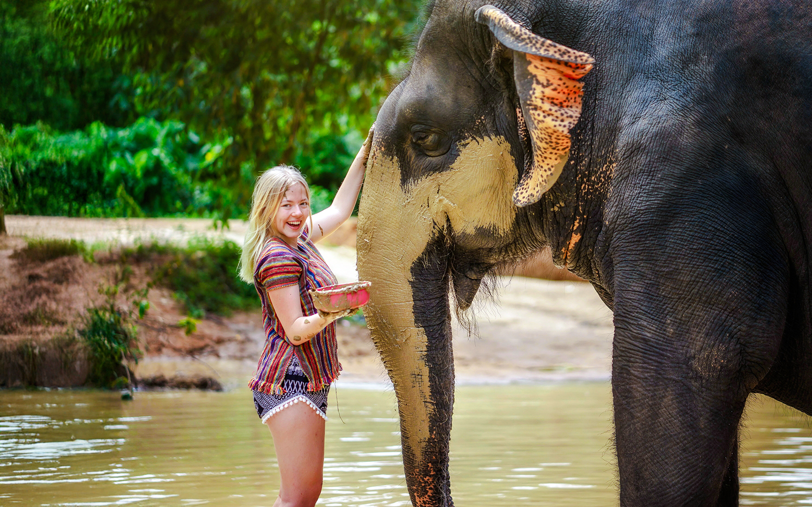 Elephant Jungle Sanctuary Experience in Phuket: Meet & Feed tickets in Phuket - Features | TickYourList