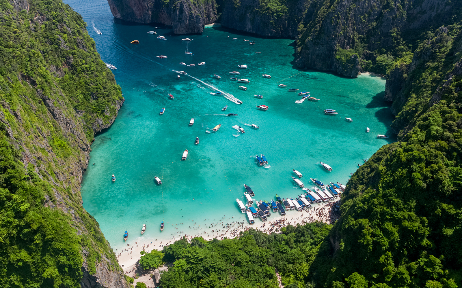 From Phuket: Phi Phi Island & Maya Bay Tour by Catamaran tickets in Phuket - Activities | TickYourList