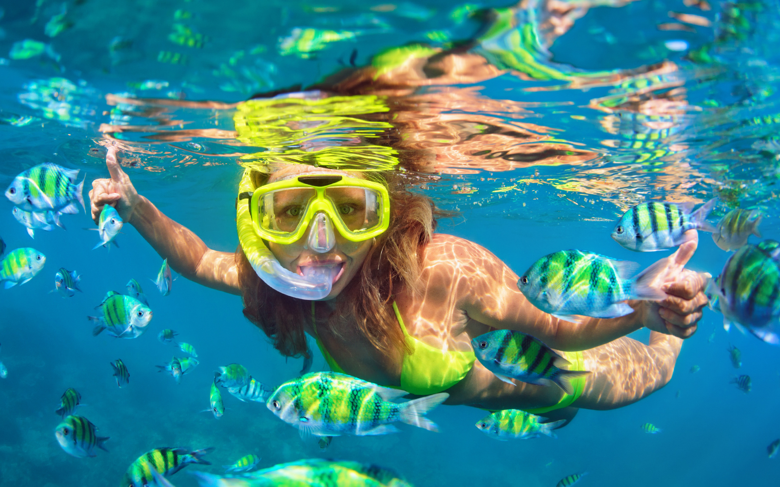 From Phuket: Phi Phi Island & Maya Bay Tour by Catamaran tickets in Phuket - Features | TickYourList
