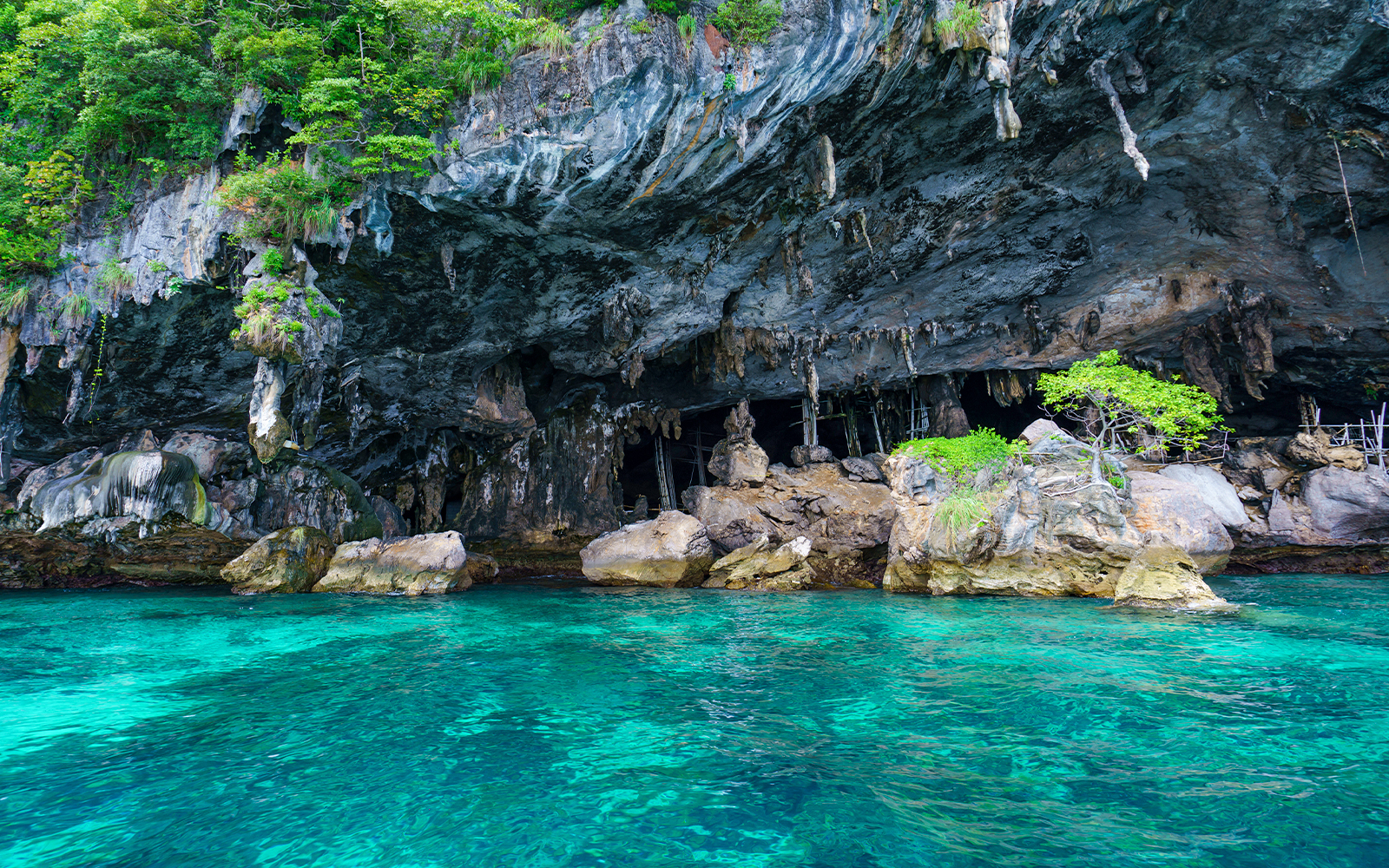From Phi Phi: Maya Bay Join-In Tour with Snorkeling by Longtail Boat tickets in Krabi - Highlights | TickYourList