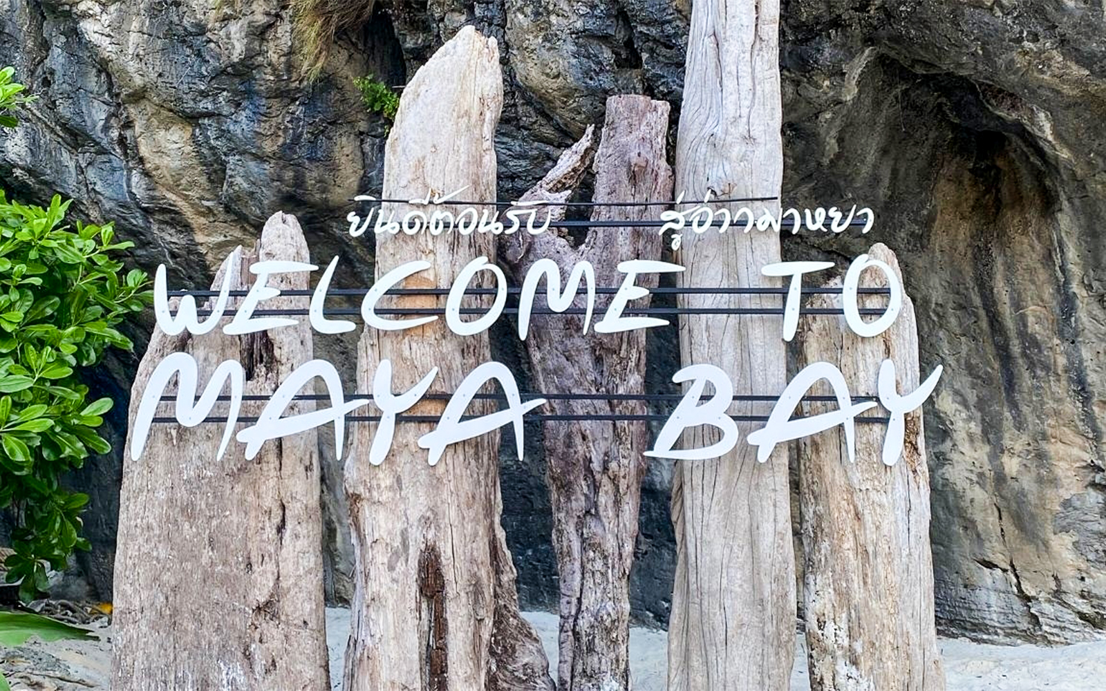 From Phi Phi: Maya Bay & Bamboo Island Tour by Speedboat tickets in Krabi - Attractions | TickYourList