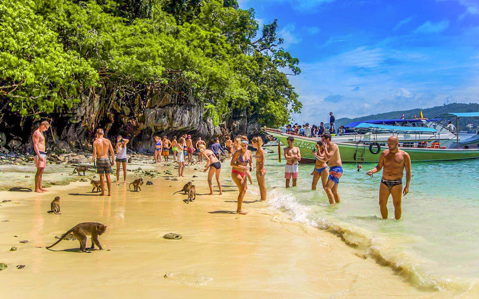 From Phi Phi: Maya Bay & Bamboo Island Tour by Speedboat tickets in Krabi - Highlights | TickYourList