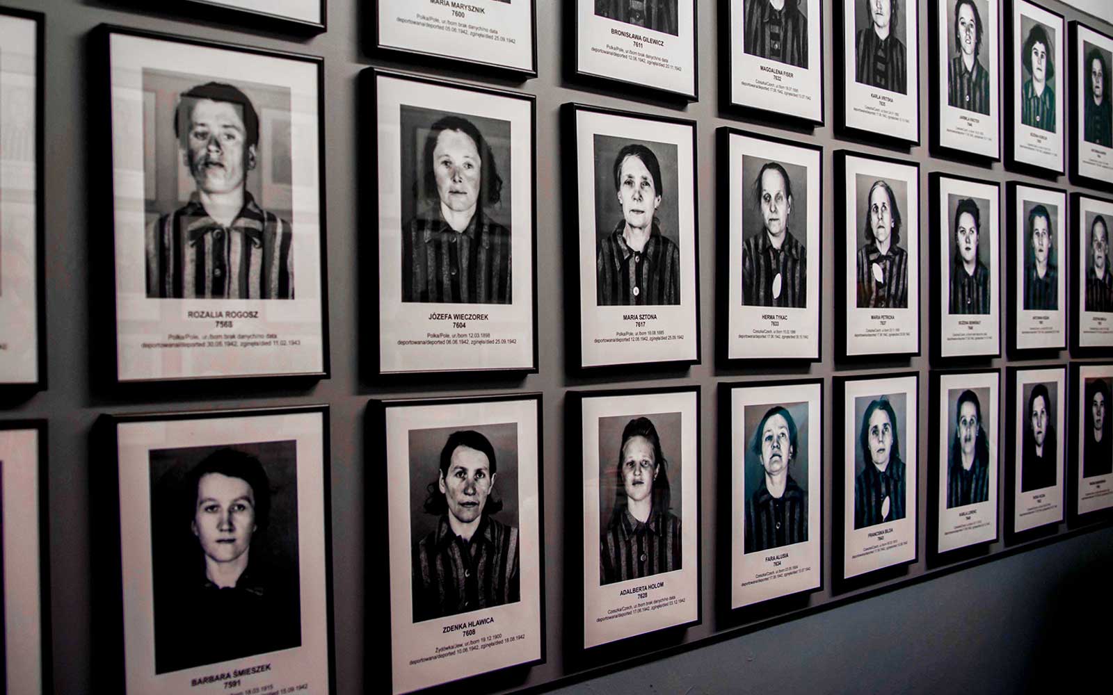 One-Way Tickets: Auschwitz-Birkenau Museum to/from Krakow Bus Station in Krakow - Features | TickYourList