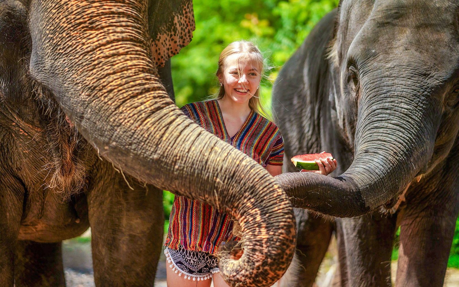 Elephant Sanctuary Experiences: Feed & Bathe tickets in Phuket - Attractions | TickYourList