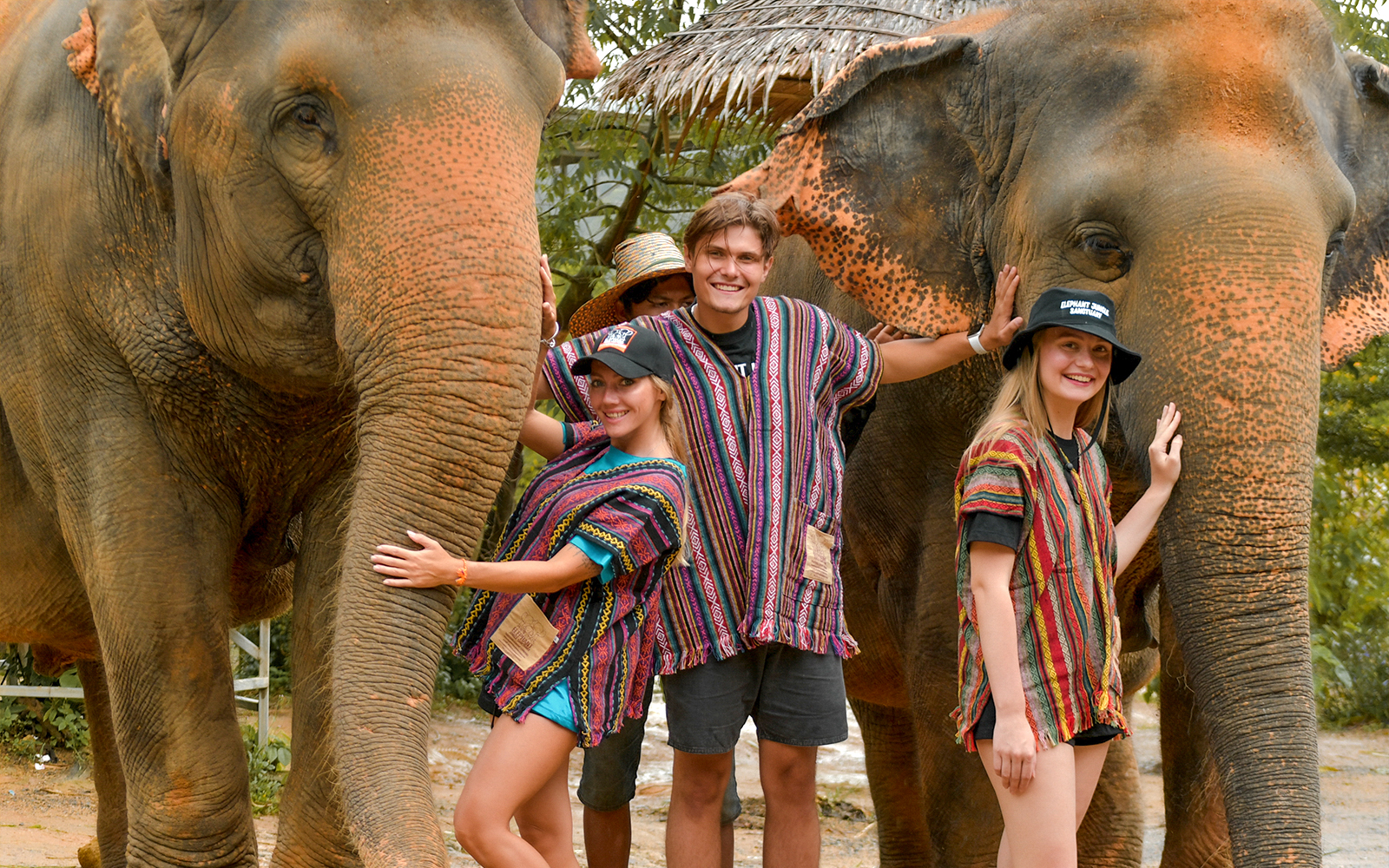 Half Day Tour with Elephant Feed and Mud Spa with Hotel Transfers tickets in Phuket - Attractions | TickYourList