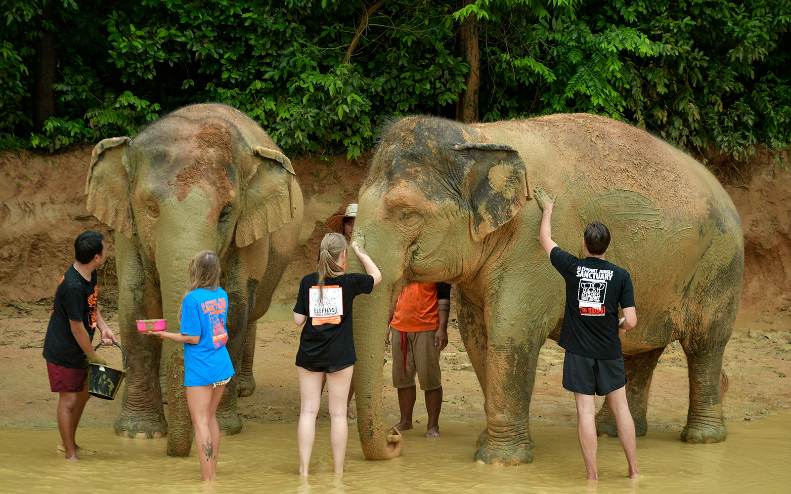 Half Day Tour with Elephant Feed and Mud Spa with Hotel Transfers tickets in Phuket - Activities | TickYourList