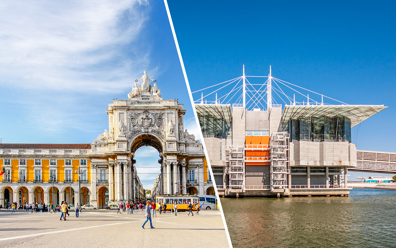 Combo (Save 12%): Lisbon Card + Oceanário de Lisboa Tickets experience in Lisbon | TickYourList