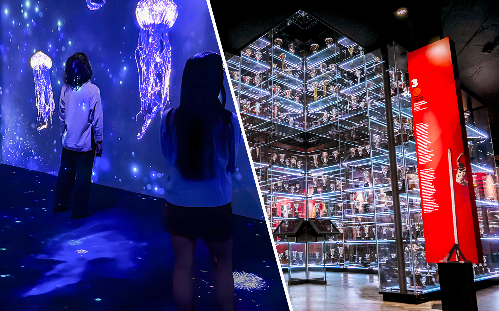 Combo (Save 22%): SL Benfica Stadium & Museum Guided Tour + Lisbon Oceanário Ticket experience in Lisbon | TickYourList