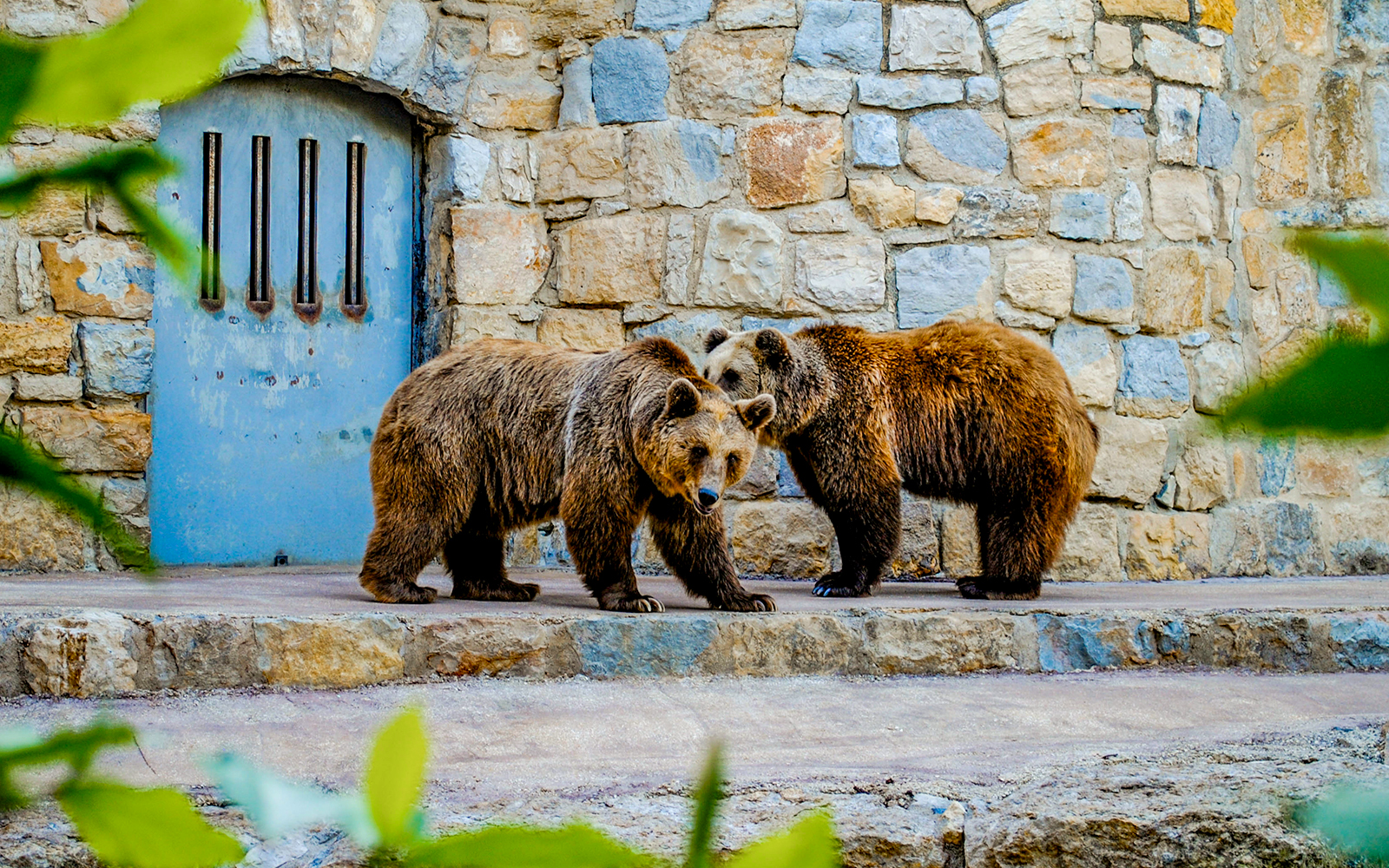 Tickets to Jardim Zoologico