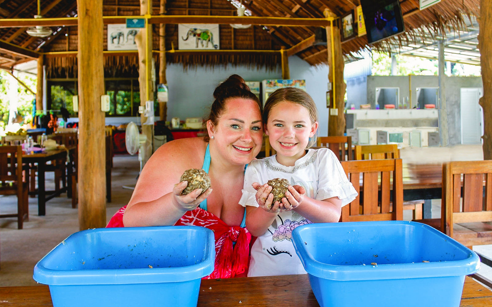 Ao Nang Elephant Sanctuary Half-Day Guided Tour with Hotel Transfers tickets in Krabi - Highlights | TickYourList