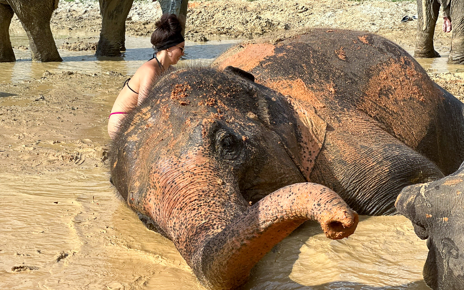 Ao Nang Elephant Sanctuary Half-Day Guided Tour with Hotel Transfers tickets in Krabi - Features | TickYourList