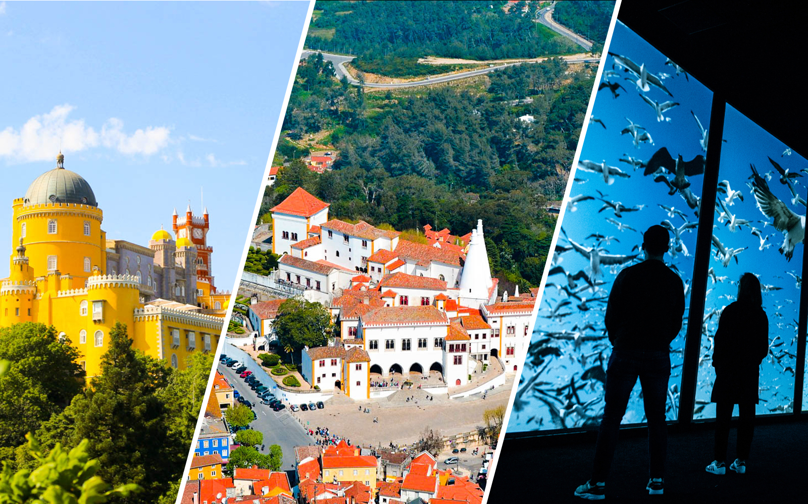 Combo (Save 18%): Lisboa's Oceanário + National Palace of Pena + National Palace of Sintra experience tickets in Lisbon | TickYourList