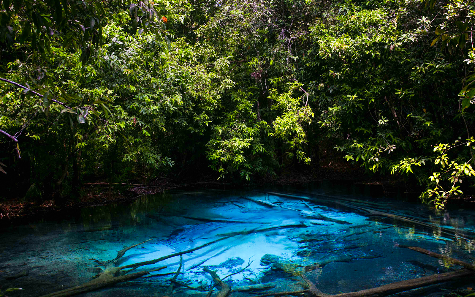 Krabi: Tiger Cave Temple, Emerald Pool & Hot Springs Tour tickets in Krabi - Highlights | TickYourList