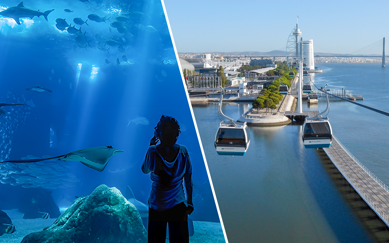 Combo: Oceanário de Lisboa + Telecabine Cable Car Tickets experience in Lisbon | TickYourList