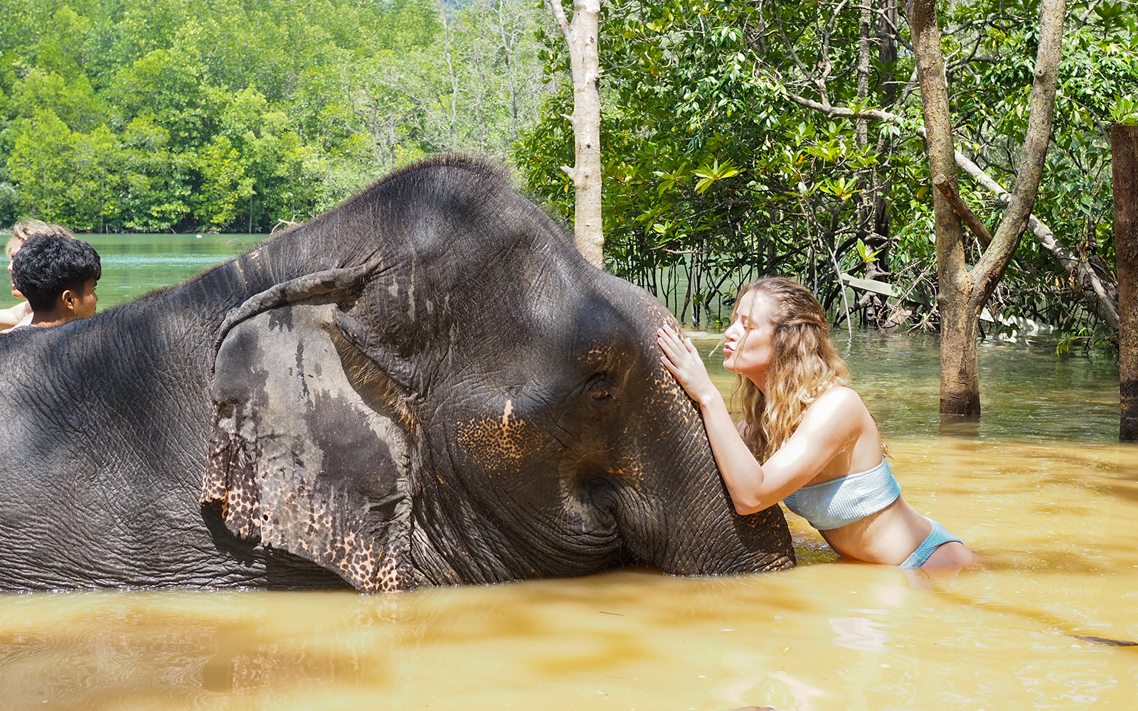 Krabi Elephant Shelter Experience with Hotel Transfers tickets in Krabi - Highlights | TickYourList