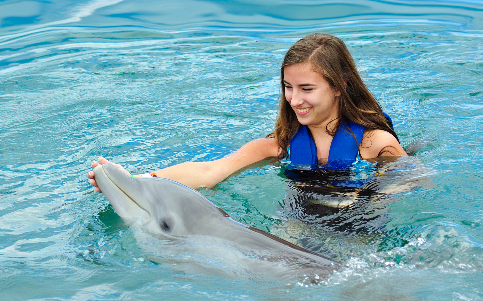 Dolphinarium Pattaya - Swim with Dolphins Experience tickets in Pattaya - Attractions | TickYourList