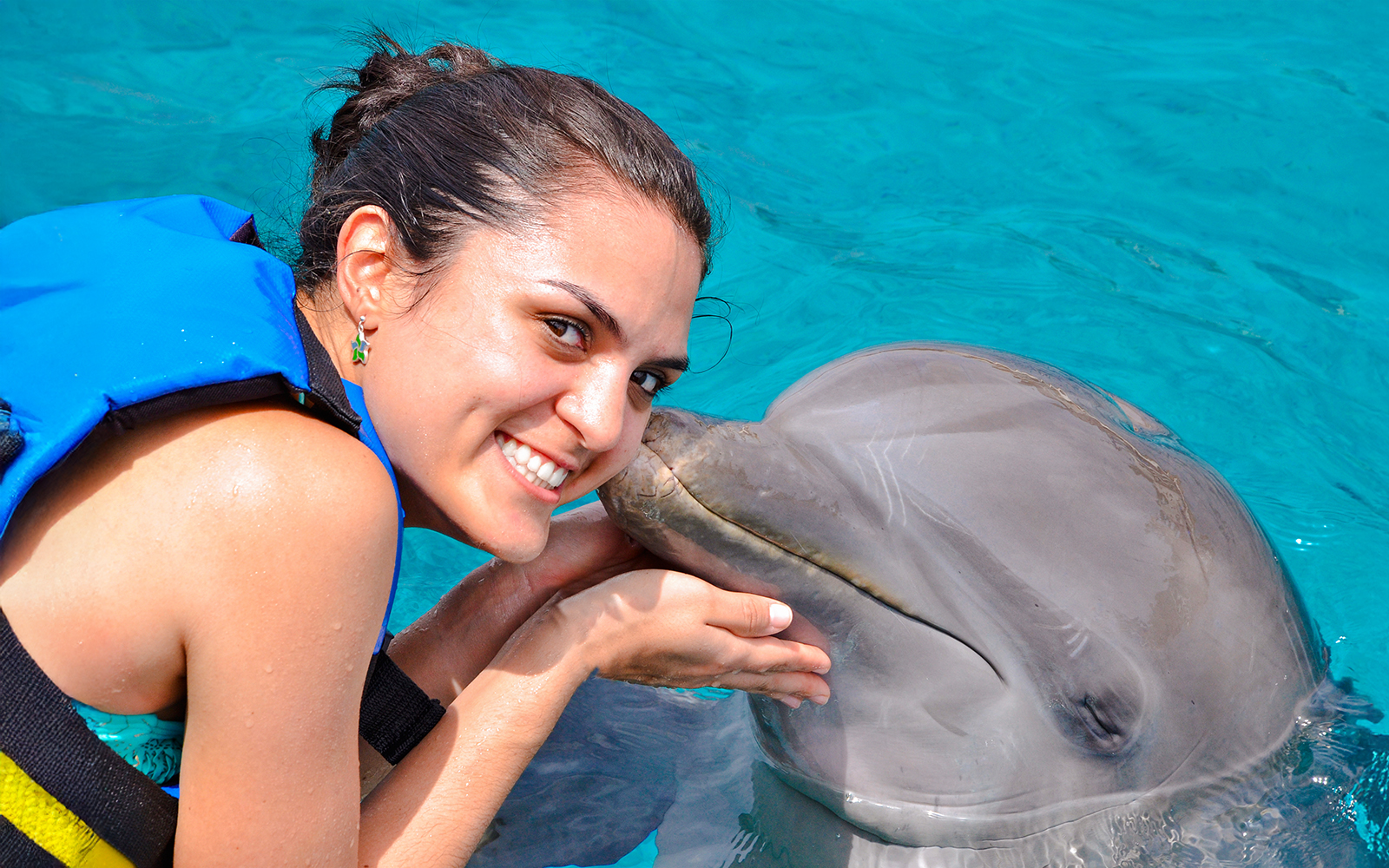 Dolphinarium Pattaya - Swim with Dolphins Experience tickets in Pattaya - Highlights | TickYourList