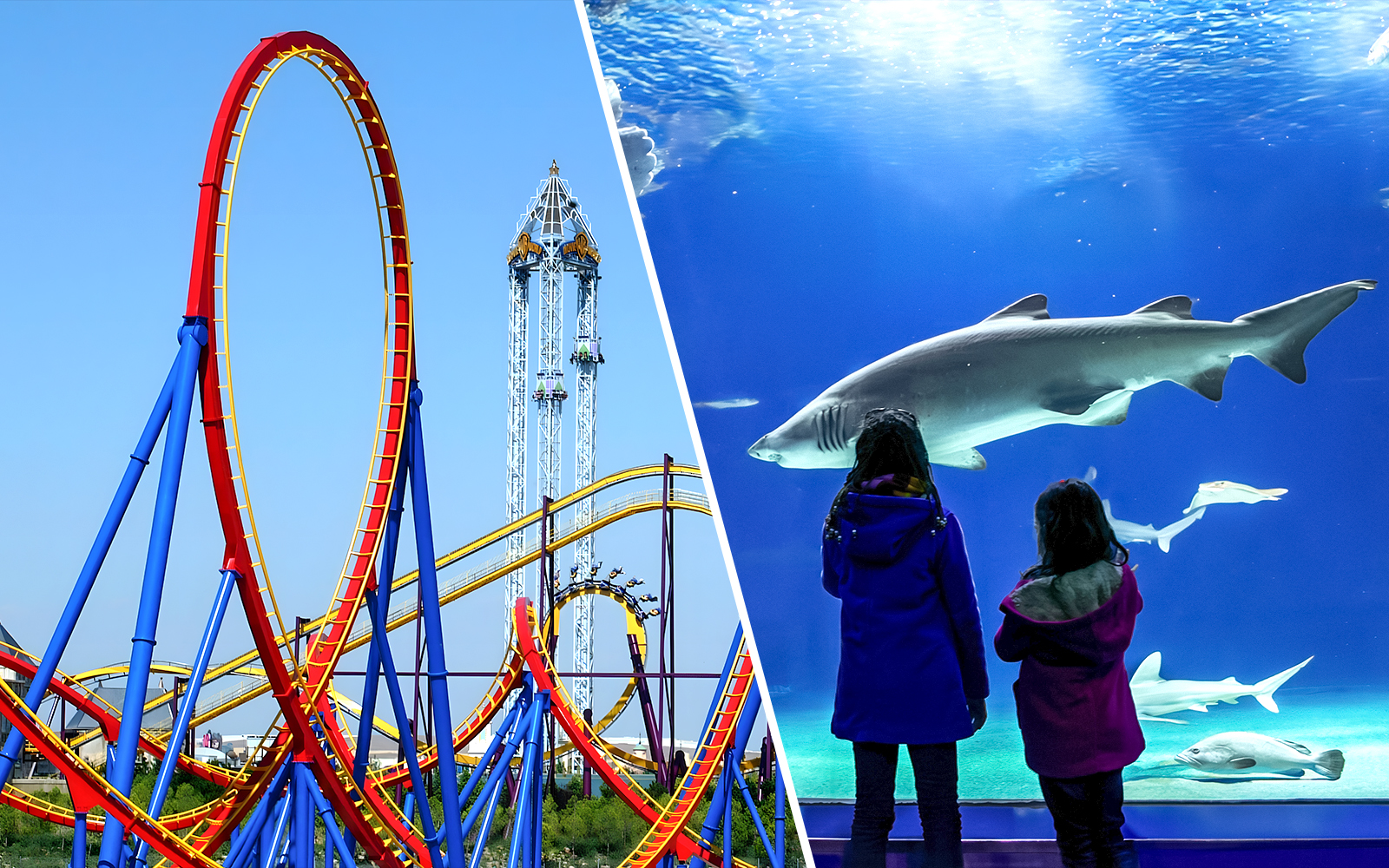 Combo (Save 5%): Parque Warner Tickets + Zoo Aquarium Madrid Skip-The-Line Tickets