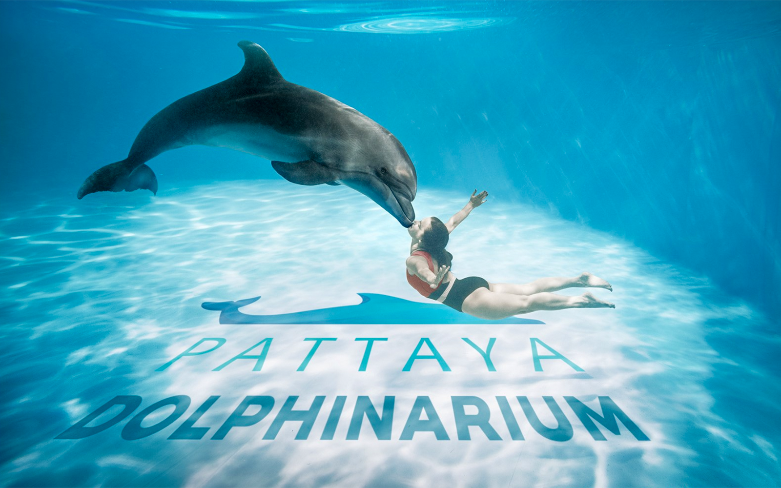 Dolphinarium Pattaya Tickets: Non-Thai Residents in Pattaya - Attractions | TickYourList