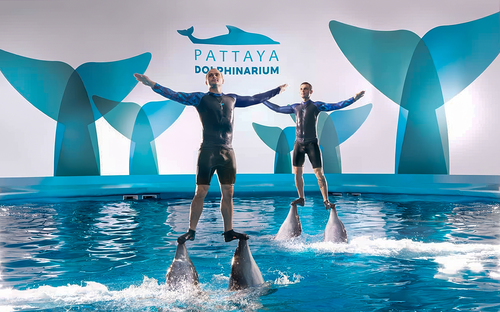Dolphinarium Pattaya Tickets: Non-Thai Residents in Pattaya - Activities | TickYourList
