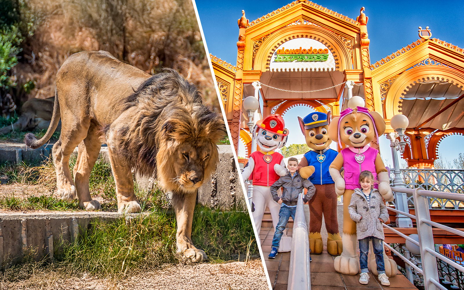 Combo (Save 4%): Madrid Zoo Aquarium + Parque de Atracciones de Madrid Tickets