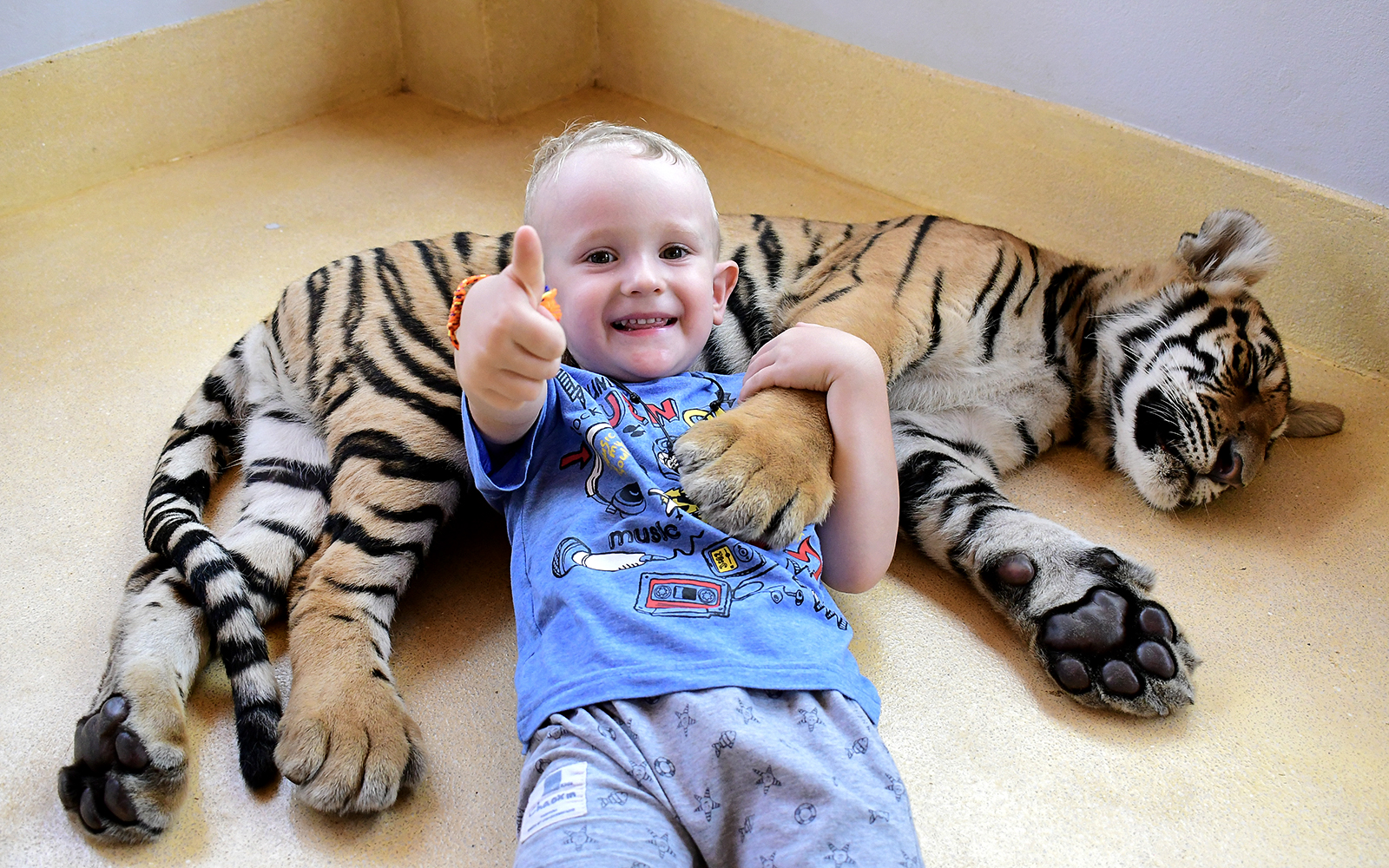 Tiger Park Tickets with Tiger Play Packages: Non-Thai Residents in Pattaya - Activities | TickYourList