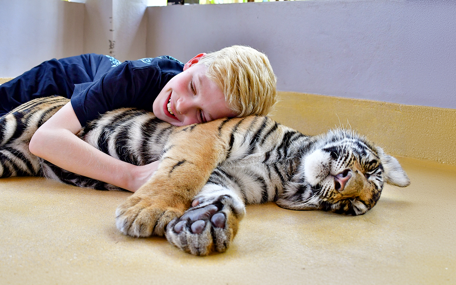 Tiger Park Tickets with Tiger Play Packages: Non-Thai Residents in Pattaya - Features | TickYourList