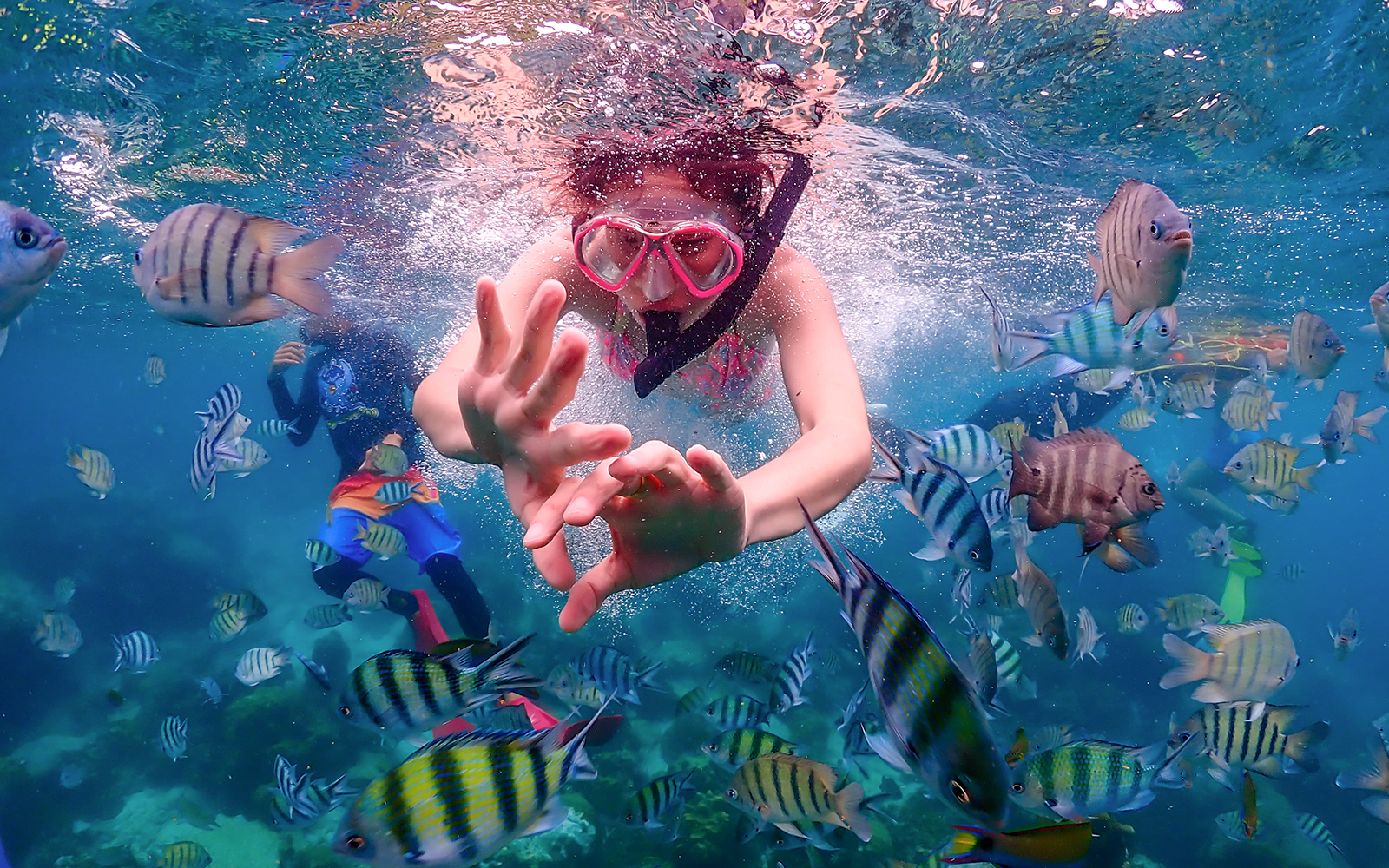 From Pattaya: Nemo Island Guided Trip with Lunch & Drone Photos tickets in Pattaya - Highlights | TickYourList