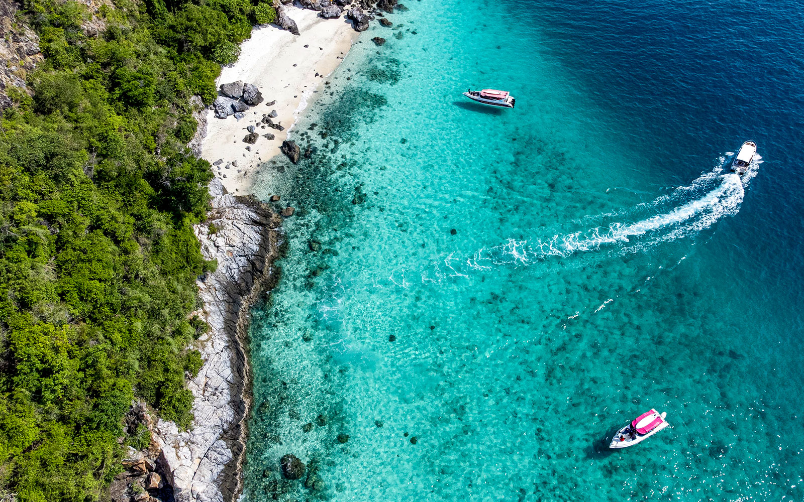 From Bangkok: Nemo Island Guided Tour with Lunch tickets in Pattaya - Activities | TickYourList