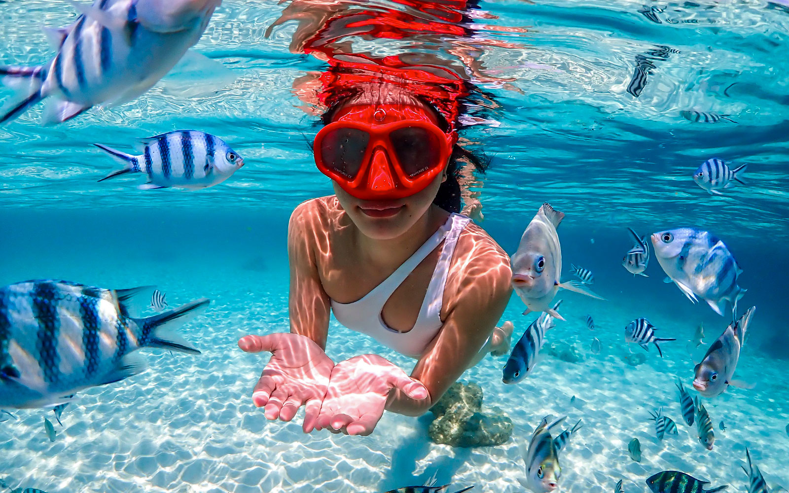 From Bangkok: Nemo Island Guided Tour with Lunch tickets in Pattaya - Features | TickYourList
