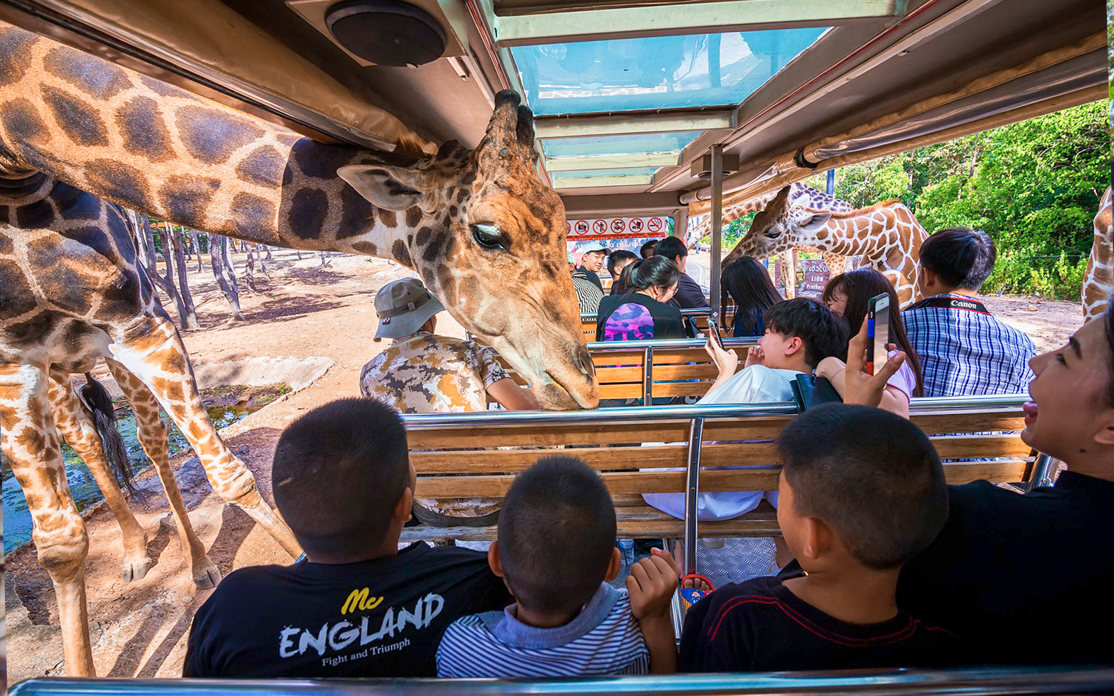 Chiang Mai Night Safari Tickets with Transfers: Non-Thai Residents in Chiang Mai - Features | TickYourList
